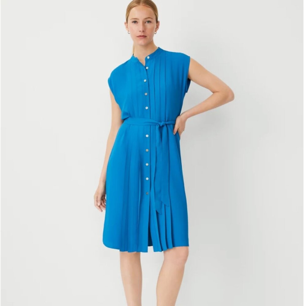 Ann Taylor Tall Pleated Belted Dress